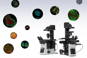 IXplore Standard / IXplore Pro Inverted Mikroskoplar